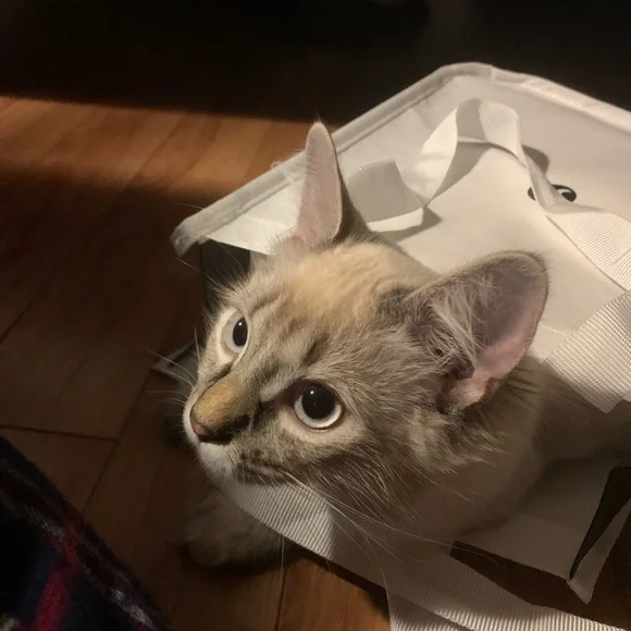 Read me! - Picture 2 of 3